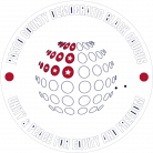 Pasco County Black Caucus